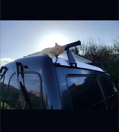 Kemping Beautiful Campervan To Rent